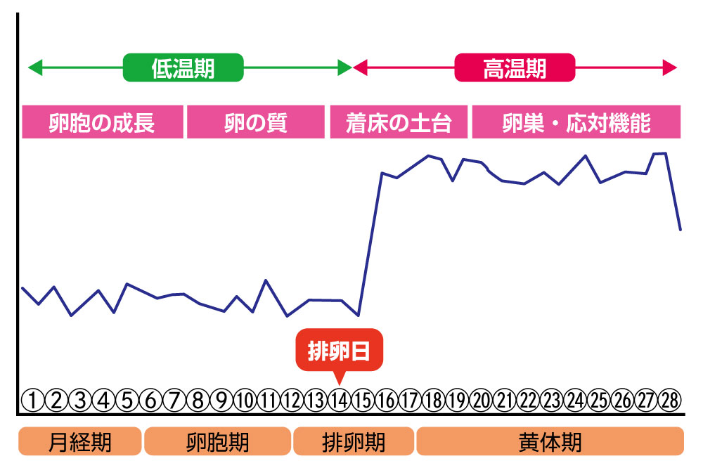 着床の鍼灸