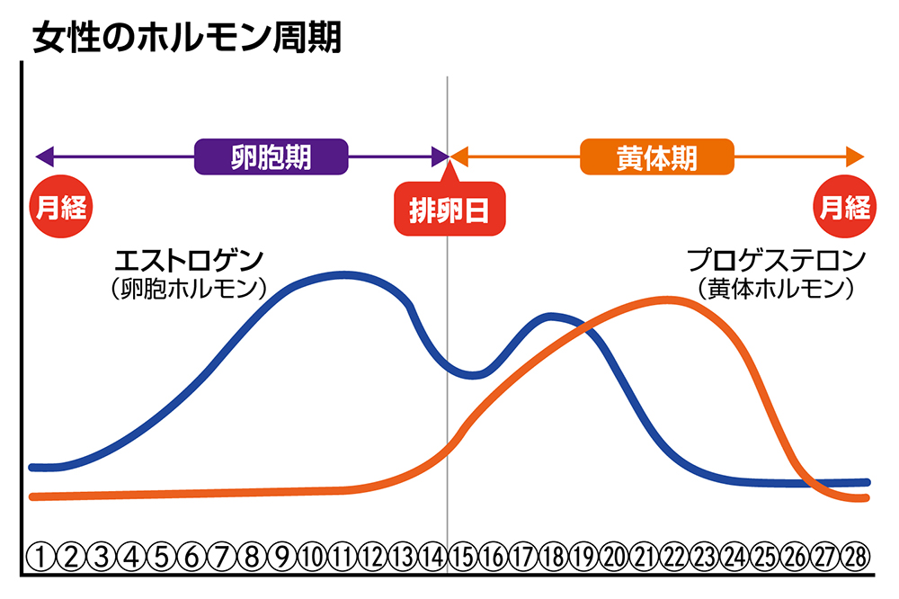 不妊アドバイス